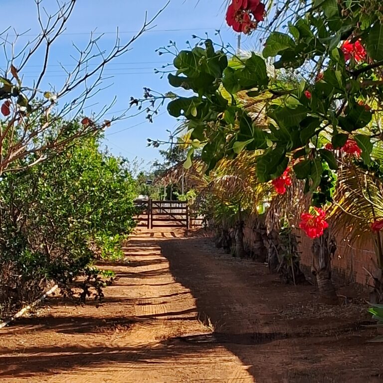 CONSELHO DO MEIO AMBIENTE REÚNE-SE
