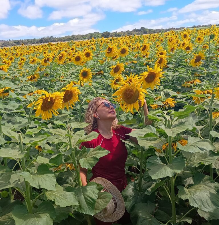 EDITAIS – Editais – EDITAIS – Editais – EDITAIS –