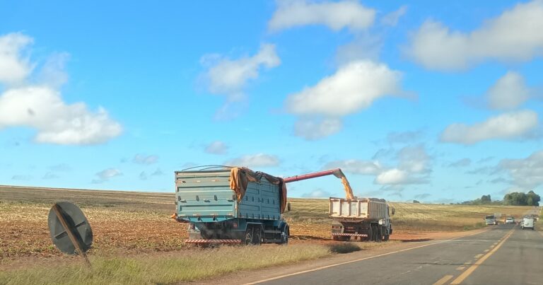 EM PLANALTINA – ANDANDO NO MUNICIPIO