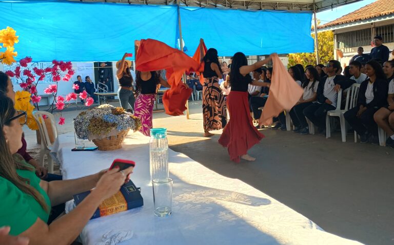 ACADEMIA DE LETRAS EM AÇÃO